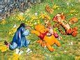 Image result for Stitch and Winnie the Pooh Wallpaper