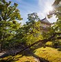 Image result for Nijo Castle Japan Trees