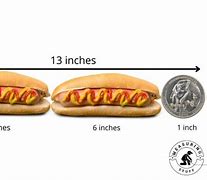 Image result for Things That Are 13 Inches Tall