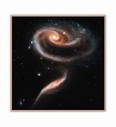 Image result for Astronomy Rose Galaxy