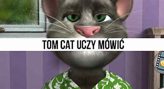 Image result for Confused Tom Cat Meme