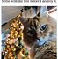 Image result for Cat Meme Take Down Santa's Village