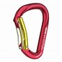 Image result for Latching Climbing Carabiner
