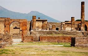 Image result for Pompeii Animals