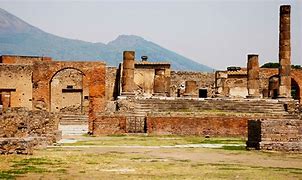Image result for Pompeii Italy Animal