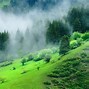 Image result for 4K 1080P Natural Green