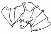 Image result for Scary Bat Drawing