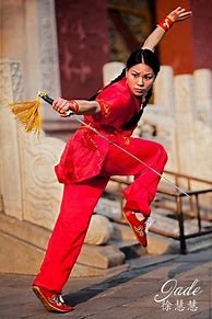Image result for Female Martial Arist