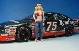Image result for 75 Remington NASCAR
