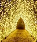 Image result for Avon Valley Christmas Experience