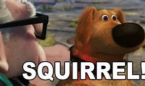 Image result for Squirrel Distraction Meme