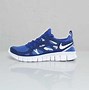Image result for Nike Free Run 2.0 Women's