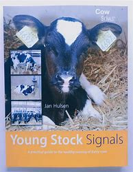 Image result for signals stock