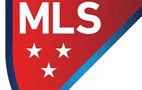 Image result for MSL Pipe Logo