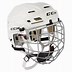 Image result for Hockey Helmet