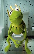 Image result for Funny Kermit Memes Toilet