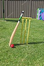 Image result for Garden Bat and Ball Game