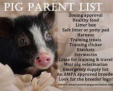 Image result for Swine Educational Posters