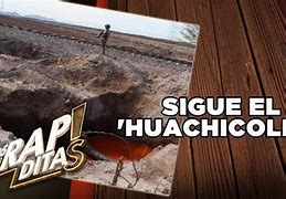 Image result for ahuilucho