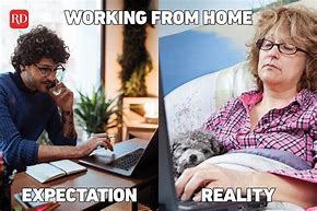 Image result for working from home meme