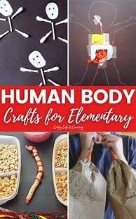 Image result for Human Body Crafts Kit