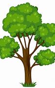 Image result for Tree Clip Art Color