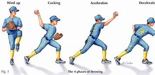 Image result for Throwing Cricket