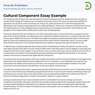 Image result for Cultural Essay Examples