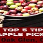 Image result for Oak Glenn Apple Picjing