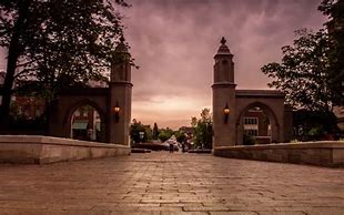 Image result for indiana_university