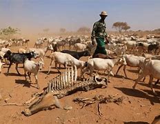 Image result for Kenya Drought Cited Images