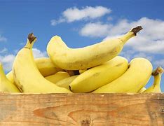 Image result for banano