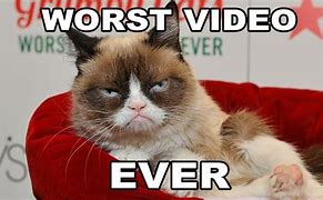 Image result for Grumpy Cat Meme