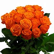 Image result for Bright Orange Roses