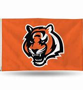 Image result for Cincinnati Bengals Banners
