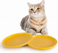 Image result for Shallow Cat Food Bowls