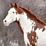 Image result for Top Paint Horse Stallions