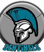 Image result for Sentinels eSports Logo