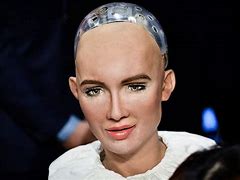 Image result for Humanoid Android