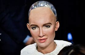 Image result for The Luxury Robot