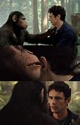 Image result for Planet of the Apes Final Scene Meme