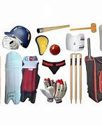 Image result for Cricket Items List