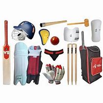 Image result for Cricket Goods