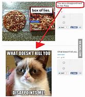 Image result for Pizza Grumpy Cat