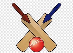 Image result for Cricket Bats and Balls