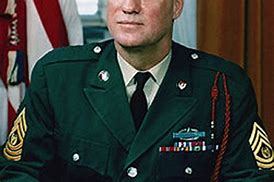 Image result for Sergeant Major of the Army Wooldridge