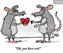 Image result for Rat Memes. Love
