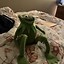 Image result for Kermit Home Made Puppet Hands