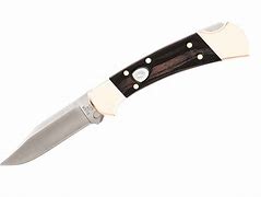 Image result for Buck Knives Hunting Knife