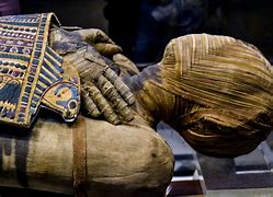 Image result for Mummies of the World